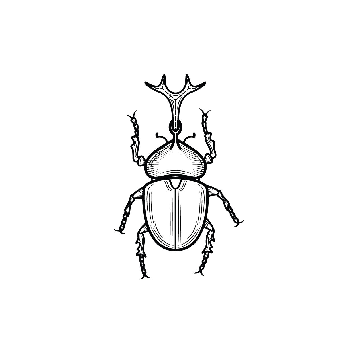 Dung-bettle temporary tattoo