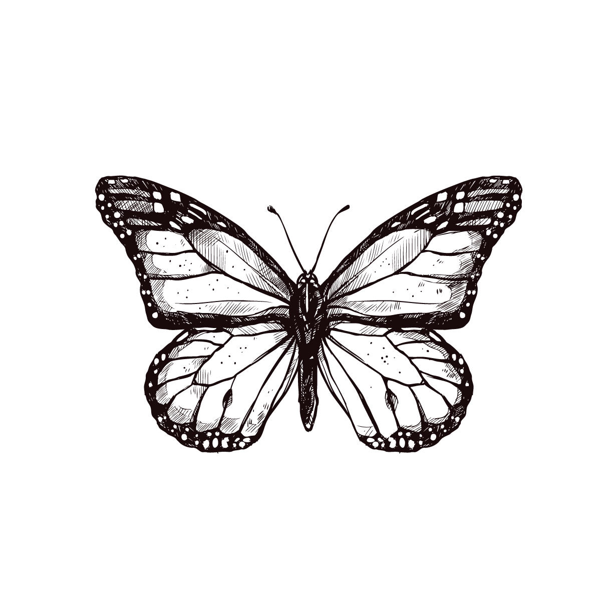 Butterfly temporary tattoo